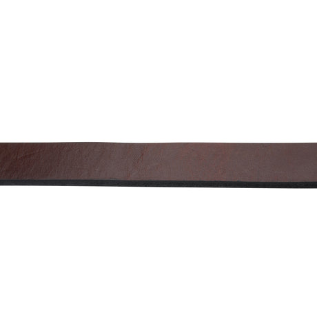 1" Single-Ply Horse Lead, with 24" Brass Plated Chain