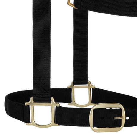 Original Adjustable Chin and Throat Snap Halter, 1-1/2" Draft