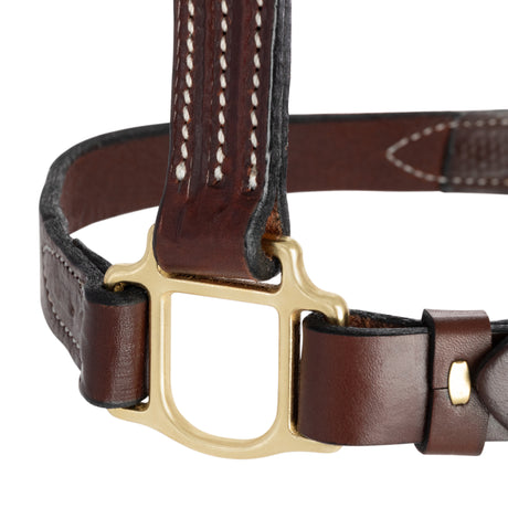 1" Basic Leather Halter
