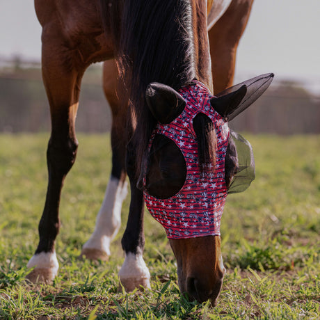 Equine Lycra® Fly Masks Powered by Coolcore®