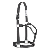 Original Non-Adjustable Nylon Halter, Chrome Plated Hardware, Average