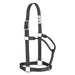 Original Non-Adjustable Nylon Halter, Chrome Plated Hardware, Average