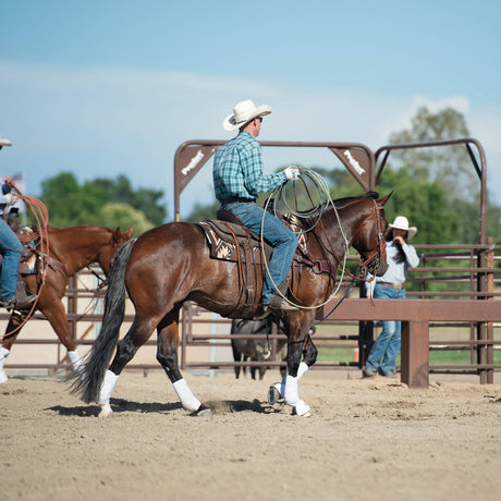 Synergy Contoured Performance Saddle Pad