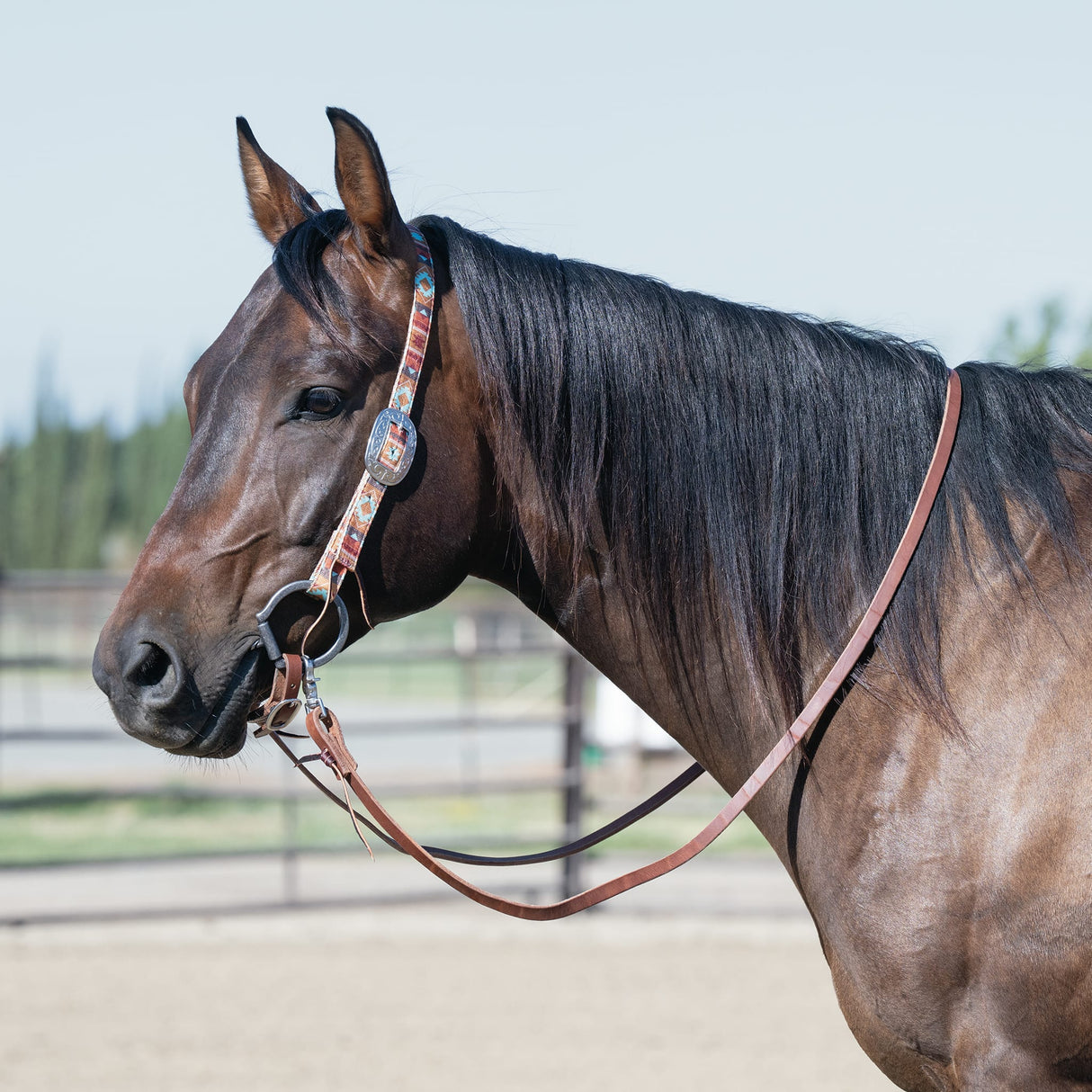 Patterned Poly Headstall