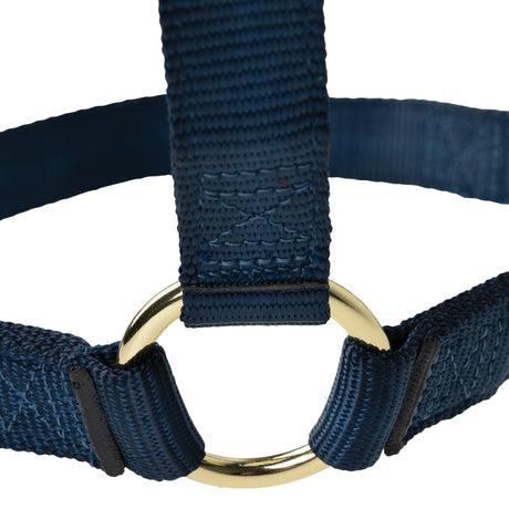 Poly Horse Halter, Non-Adjustable with Throat Snap, Weanling to Large