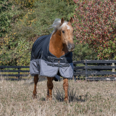 Premium Turnout Blanket, Medium Weight 200g, 600D