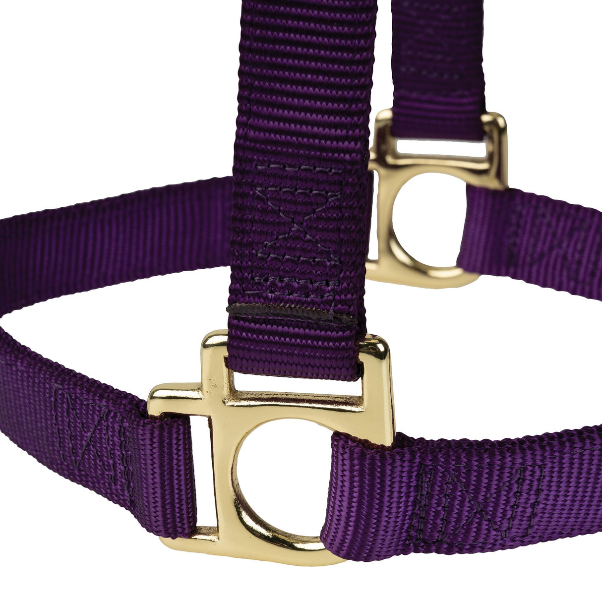Poly Horse Halter, Non-Adjustable with Throat Snap, Weanling to Large