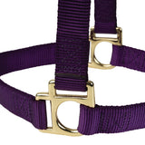 Poly Horse Halter, Non-Adjustable with Throat Snap, Weanling to Large