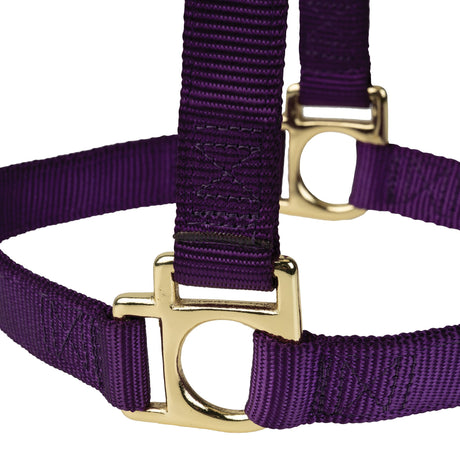 Poly Horse Halter, Non-Adjustable with Throat Snap, Weanling to Large