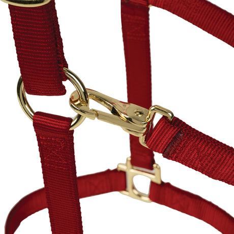 Poly Horse Halter, Adjustable, Weanling to Large