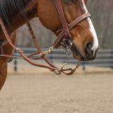 Patterned Deluxe Horse Tie Down Strap