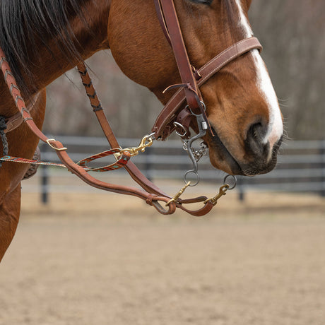 Patterned Deluxe Horse Tie Down Strap