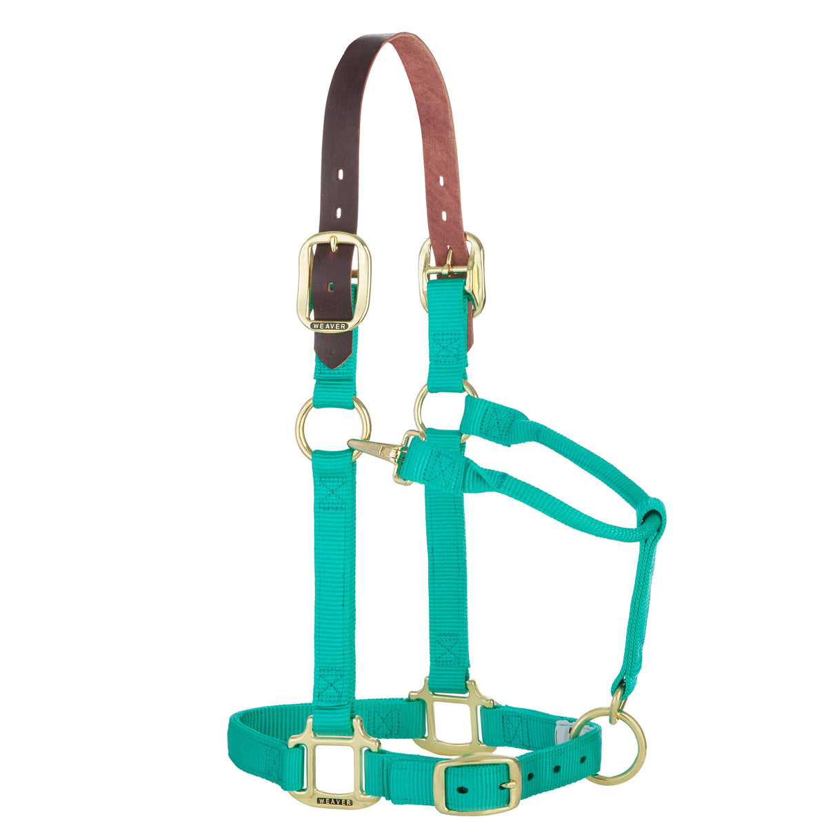 Weaver Equine Breakaway Horse Halter, Comfort Foam Padding, Adjustable – Pawré Weaver Equine Breakaway Horse Halter, Comfort Foam Padding, Adjustable – Pawré