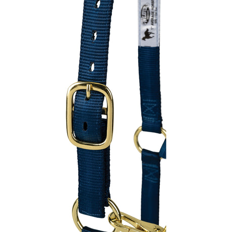 Poly Horse Halter, Adjustable, Weanling to Large
