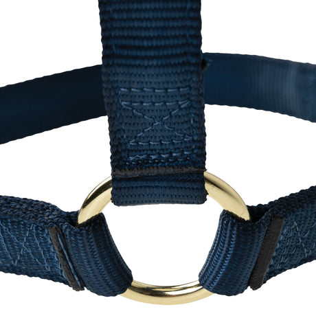 Poly Horse Halter, Non-Adjustable, Weanling to Large