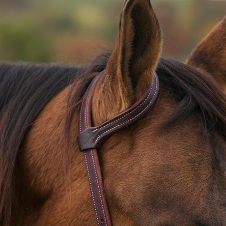 Latigo Western Headstall