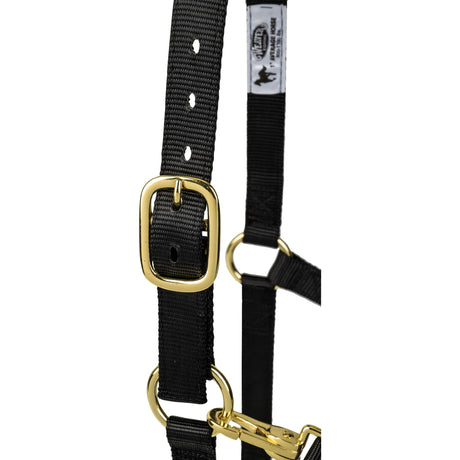 Poly Horse Halter, Adjustable, Weanling to Large