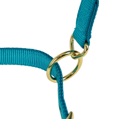 Poly Horse Halter, Adjustable, Weanling to Large