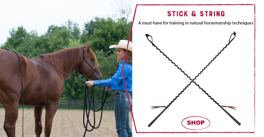 Briglia Showtime Stacy Westfall Con Cristalli Swarovski - Elegante E Sottile Per Cavalli - Foto 7