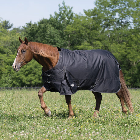 Premium Turnout Blanket, Medium Weight 200g, 600D