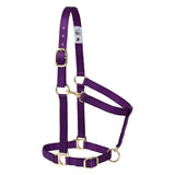 Poly Horse Halter, Adjustable, Weanling to Large