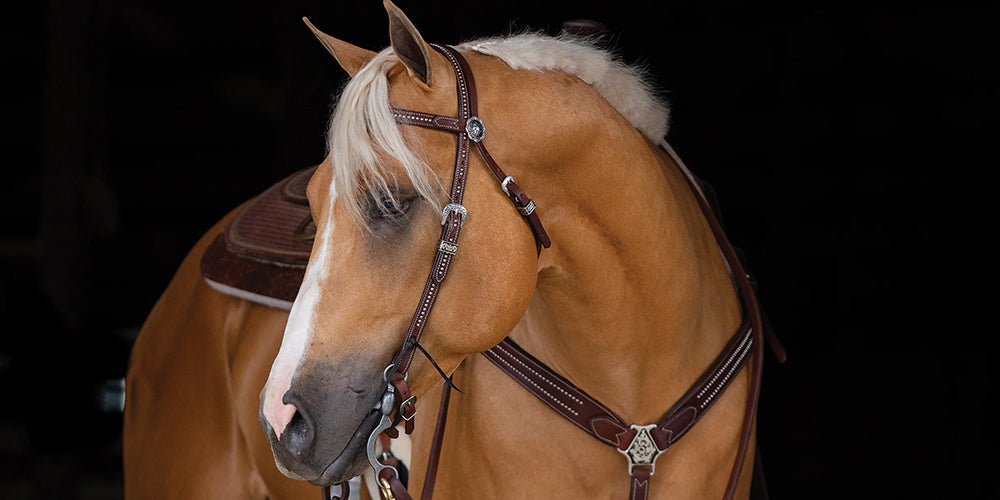 Briglia Showtime Stacy Westfall Con Cristalli Swarovski - Elegante E Sottile Per Cavalli - Foto 12