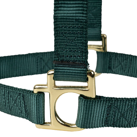 Poly Horse Halter, Non-Adjustable, Weanling to Large