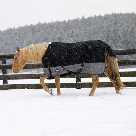Premium Turnout Blanket, Medium Weight 200g, 600D