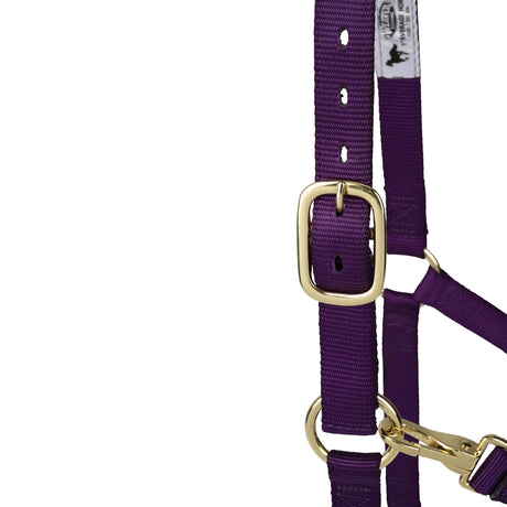 Poly Horse Halter, Non-Adjustable with Throat Snap, Weanling to Large