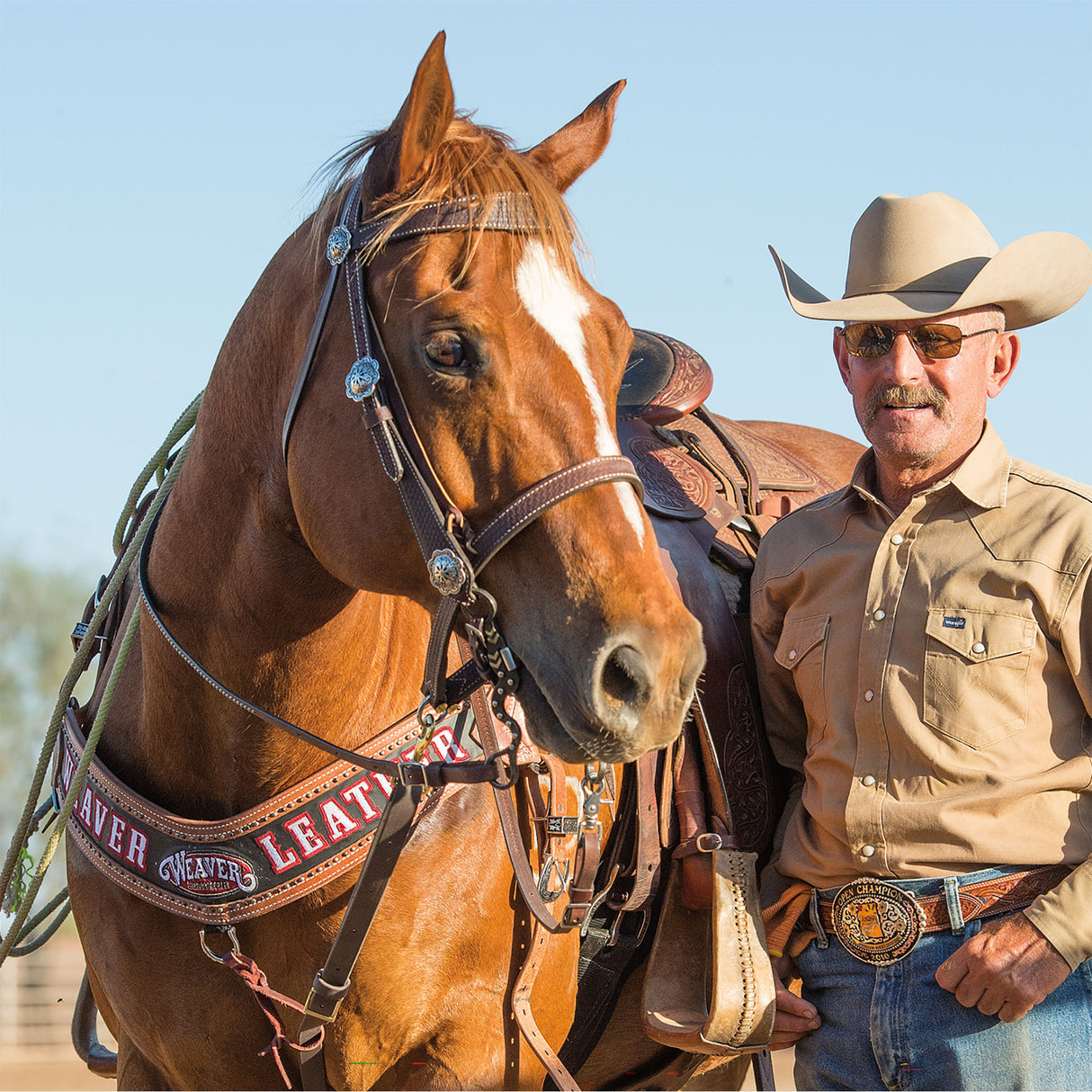 Basin Cowboy Noseband