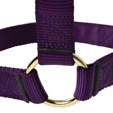 Poly Horse Halter, Non-Adjustable, Weanling to Large