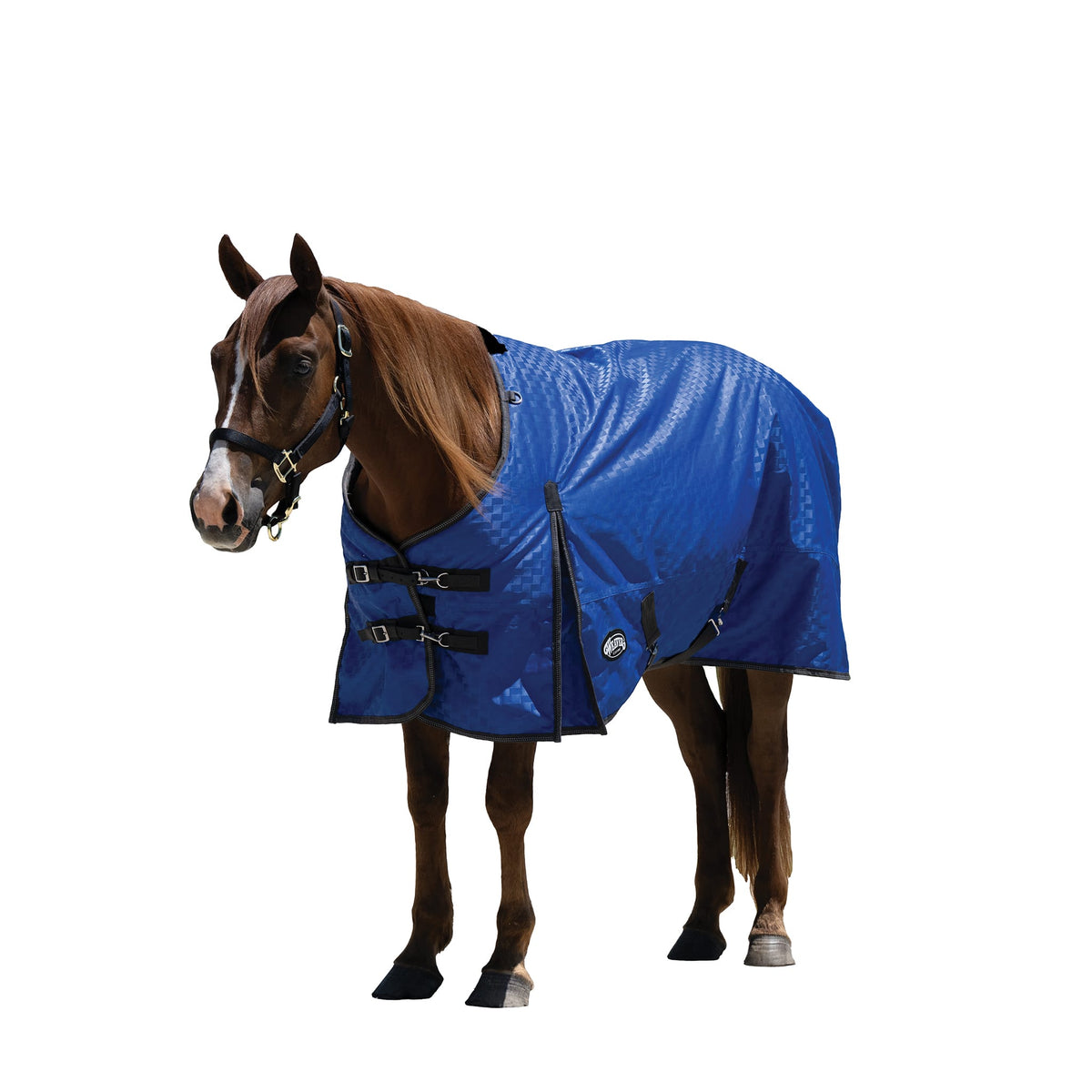 Premium Turnout Blanket, Heavy Weight 300g, 1200D