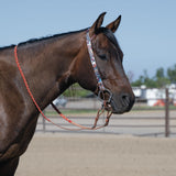 Patterned Poly Headstall