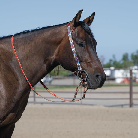 Patterned Poly Headstall