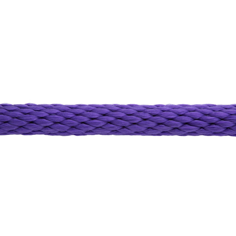 Poly Lead Rope with Brass Plated Swivel Chain