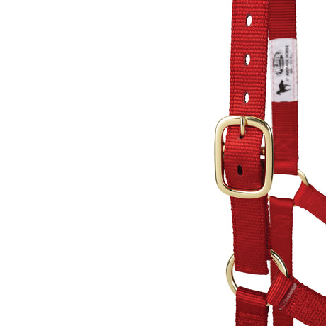 Poly Horse Halter, Non-Adjustable, Weanling to Large