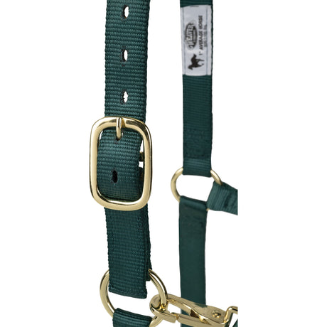 Poly Horse Halter, Adjustable, Weanling to Large