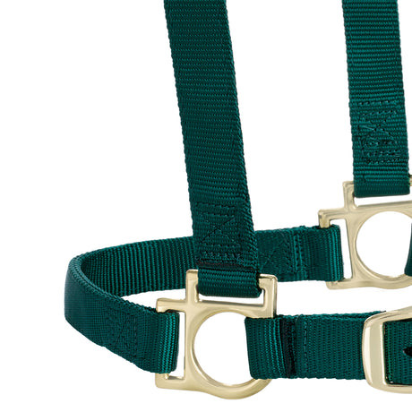 Basic Adjustable Chin and Throat Snap Halter