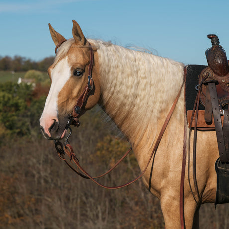 Contoured Sliding Ear Headstall
