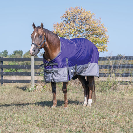 Premium Turnout Blanket, Medium Weight 200g, 600D