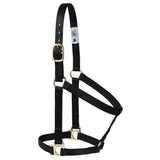 Poly Horse Halter, Non-Adjustable, Weanling to Large