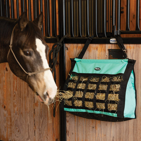 Slow Feed Hay Bag