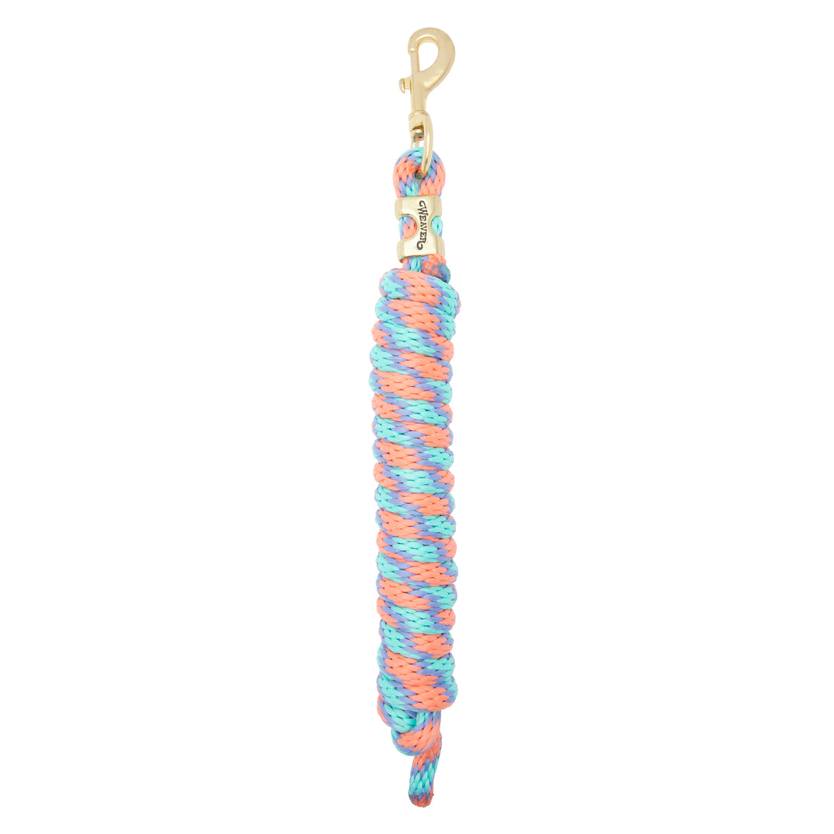 Poly Lead Rope with a Solid Brass 225 Snap