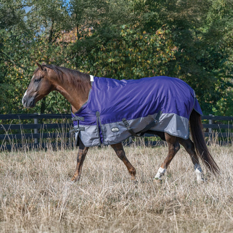 Premium Turnout Blanket, Medium Weight 200g, 600D
