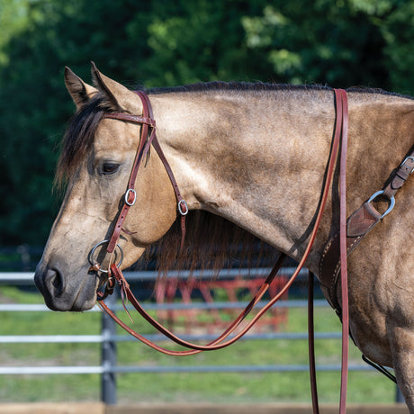 Extra Heavy Oiled Hermann Oak Harness Leather Split Reins, 8'
