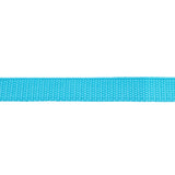 Flat Cotton Lunge Line, 1" x 30 with Nickel