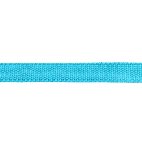 Flat Cotton Lunge Line, 1" x 30 with Nickel