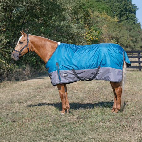 Premium Turnout Blanket, Medium Weight 200g, 600D