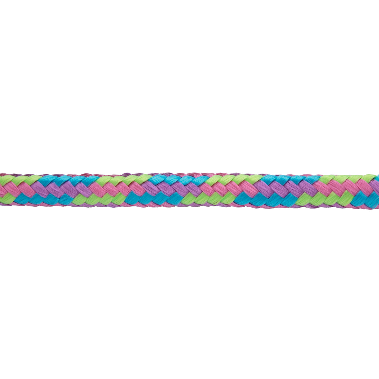Mini/Pony Lead with Brass Snap