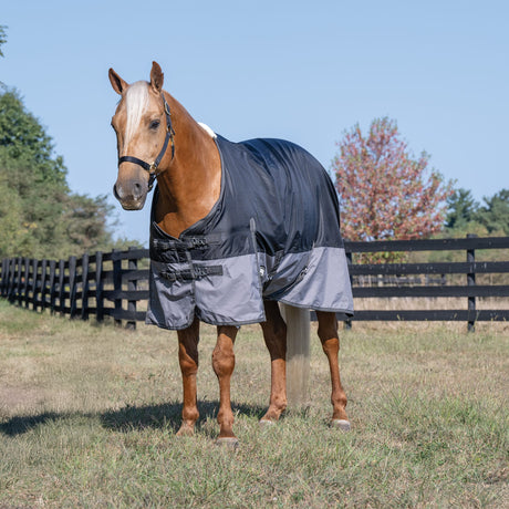 Premium Turnout Blanket, Medium Weight 200g, 600D